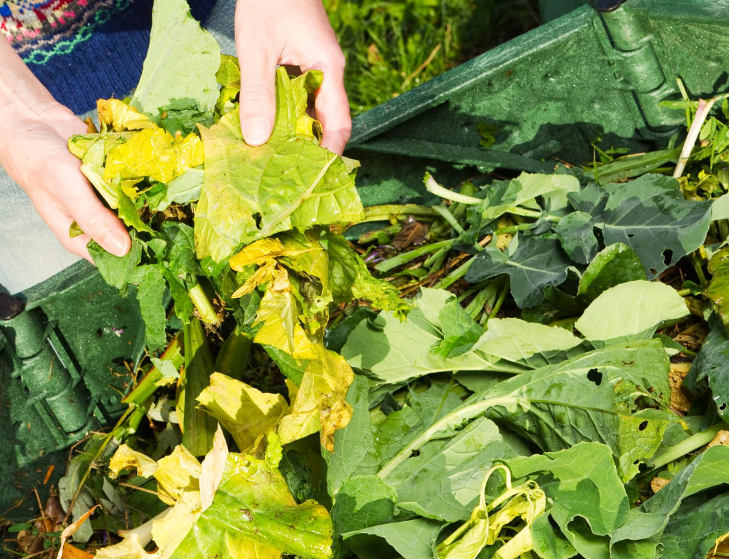 Compost bins and worm farms: a review of the options