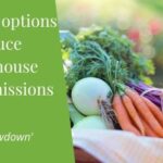 Viable options to reduce greenhouse gas emissions